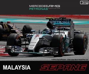 yapboz Rosberg GP Malezya 2015